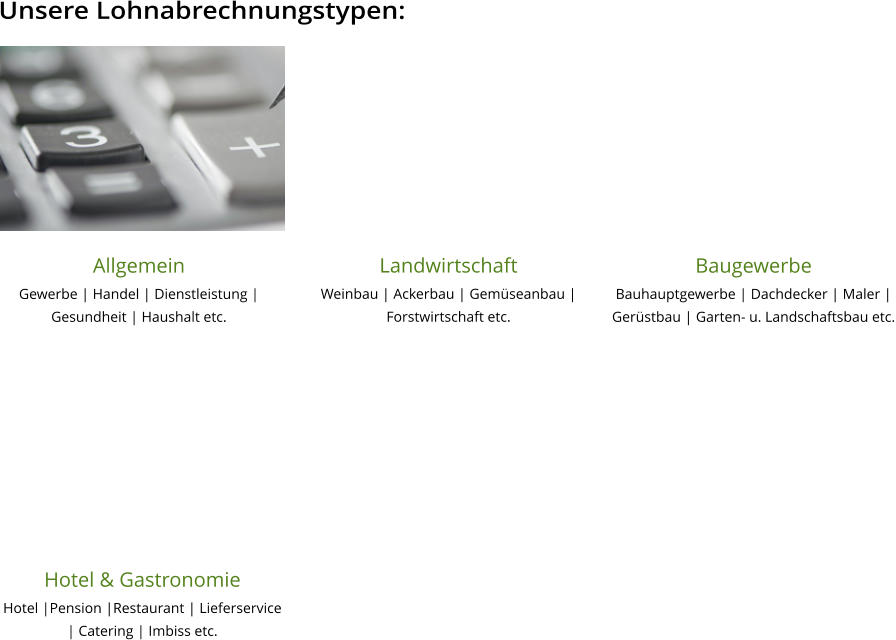 Unsere Lohnabrechnungstypen:  Landwirtschaft Weinbau | Ackerbau | Gemüseanbau | Forstwirtschaft etc.  Baugewerbe Bauhauptgewerbe | Dachdecker | Maler | Gerüstbau | Garten- u. Landschaftsbau etc.  Hotel & Gastronomie Hotel |Pension |Restaurant | Lieferservice | Catering | Imbiss etc.  Allgemein Gewerbe | Handel | Dienstleistung | Gesundheit | Haushalt etc.